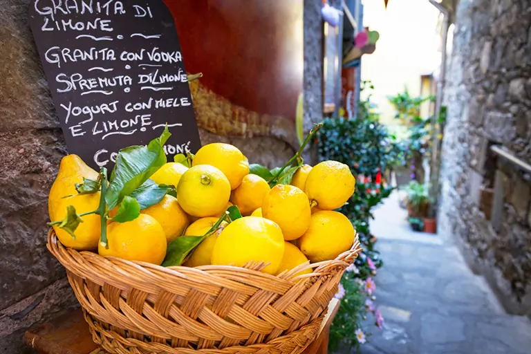 I limoni di Amalfi