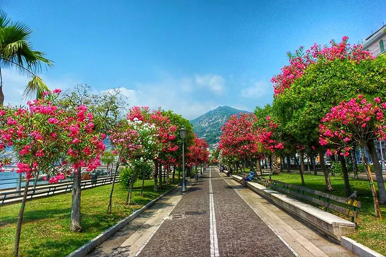 Salerno